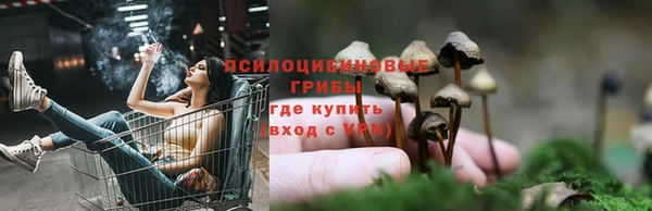 МДМА Новодвинск