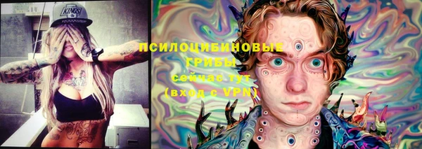 МДМА Новодвинск