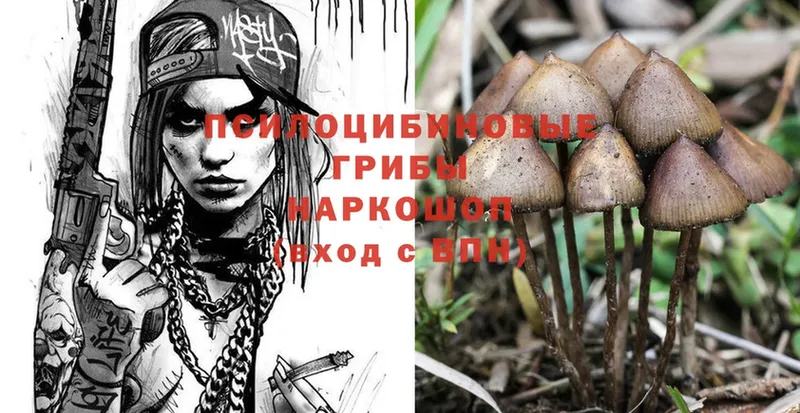 кракен ONION  Урюпинск  Галлюциногенные грибы Magic Shrooms 