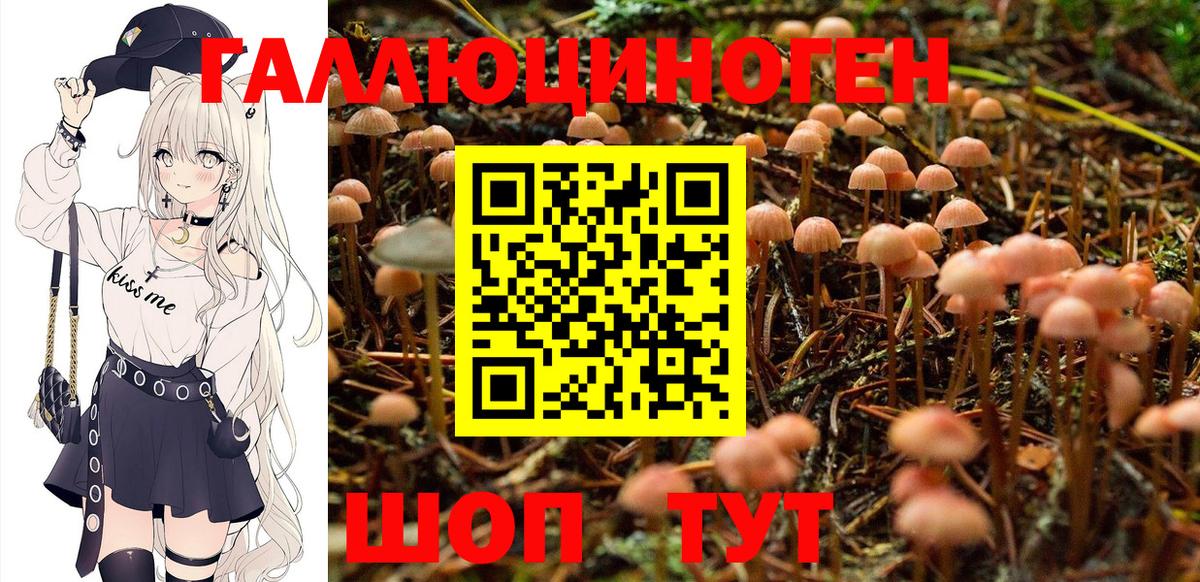 Урюпинск  А ПВП СОЛЬ   Меф кристаллы  Лсд 25  Экстази  НБОМе  Каннабис  Cocaine  ГАШИШ  Метамфетамин 