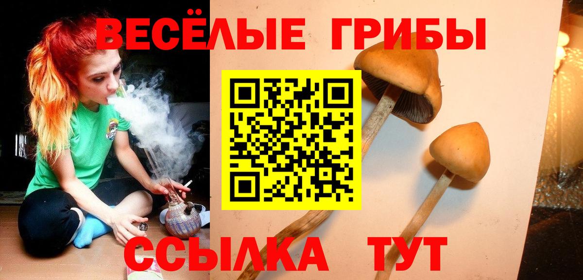 Канабис  NBOMe  Alpha-PVP  Гарик  Вход с VPN  Метамфетамин  Мефедрон  МДМА  Урюпинск  Cocaine 