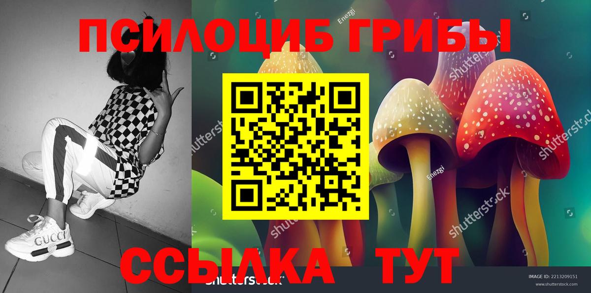 Урюпинск  цена наркотик  Псилоцибиновые грибы Psilocybe  Вход с VPN  Псилоцибиновые грибы Psilocybine cubensis 