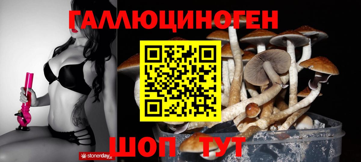 Псилоцибиновые грибы Psilocybe  Псилоцибиновые грибы Magic Shrooms  Урюпинск 